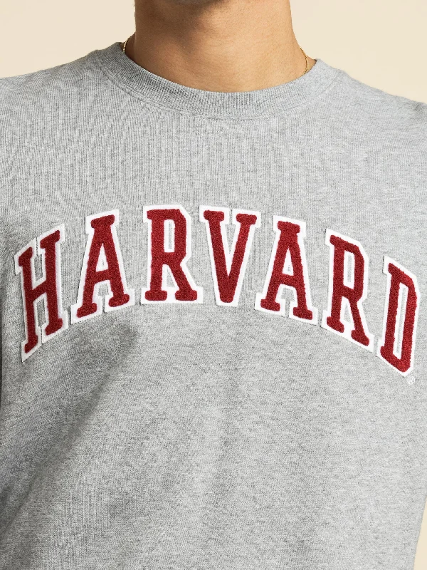 Harvard University Crew in Grey Marle